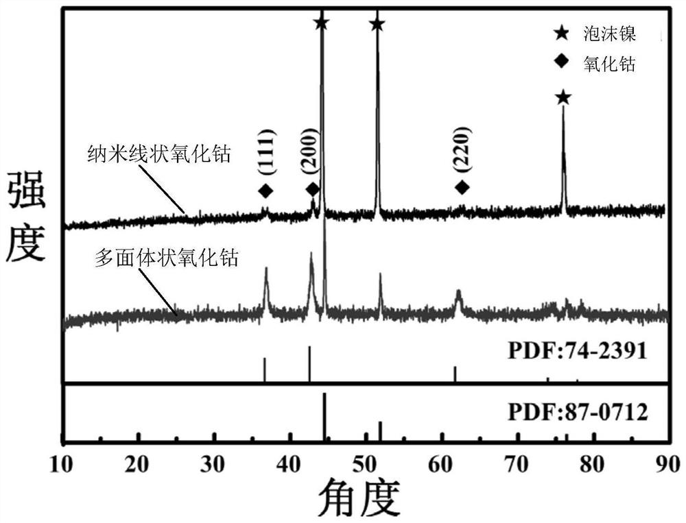 Preparation method of nickel foam loaded cobalt monoxide nanomaterials with different shapes