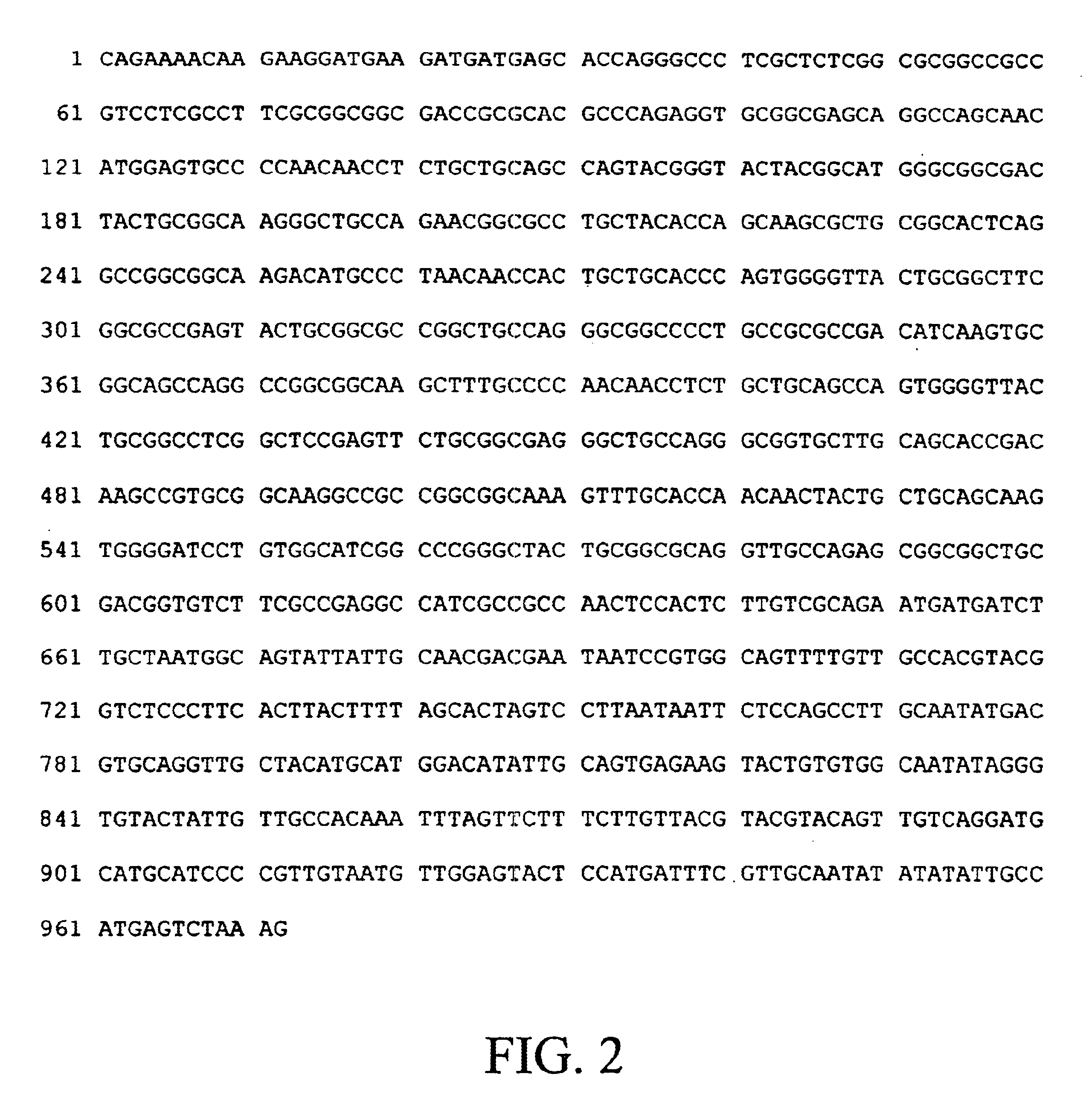 Cotton cells, plants, and seeds genetically engineered to express insecticidal and fungicidal chitin binding proteins (lectins)