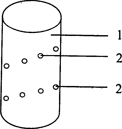 Asymmetrical uniform watering nozzles