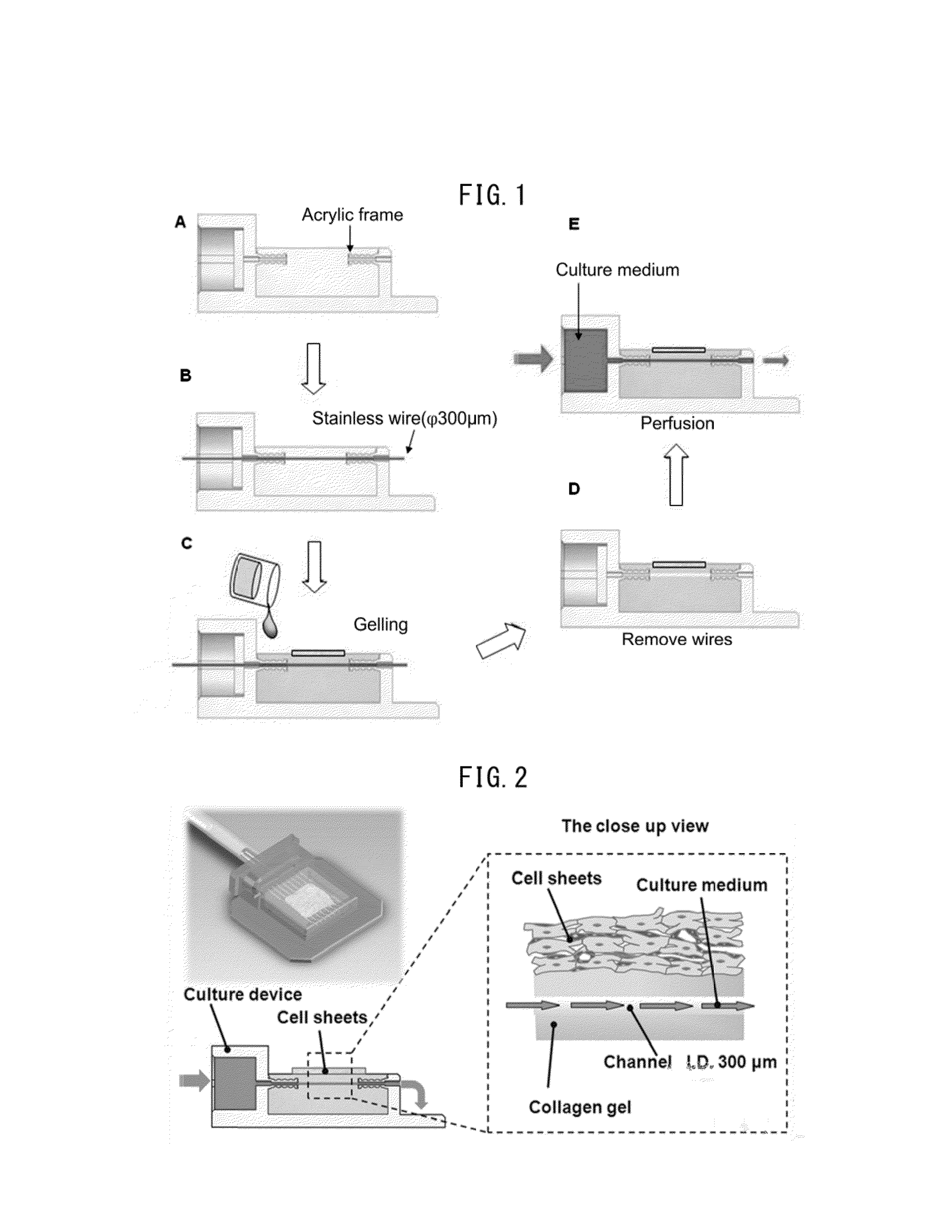 Method for manufacturing multilayered cell sheet, multilayered cell sheet having vascular network obtained thereby, and method of use thereof