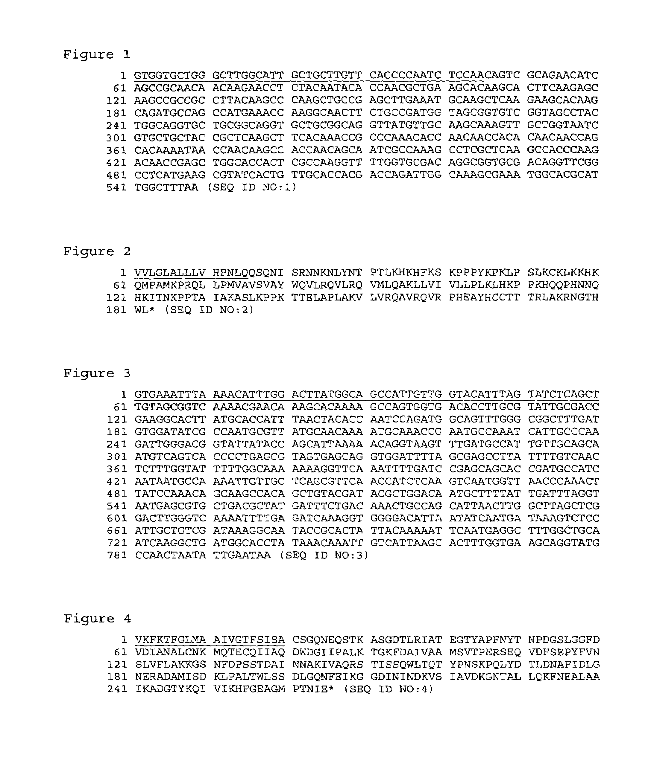 Polypeptides of Moraxella (Branhamella) catarrhalis