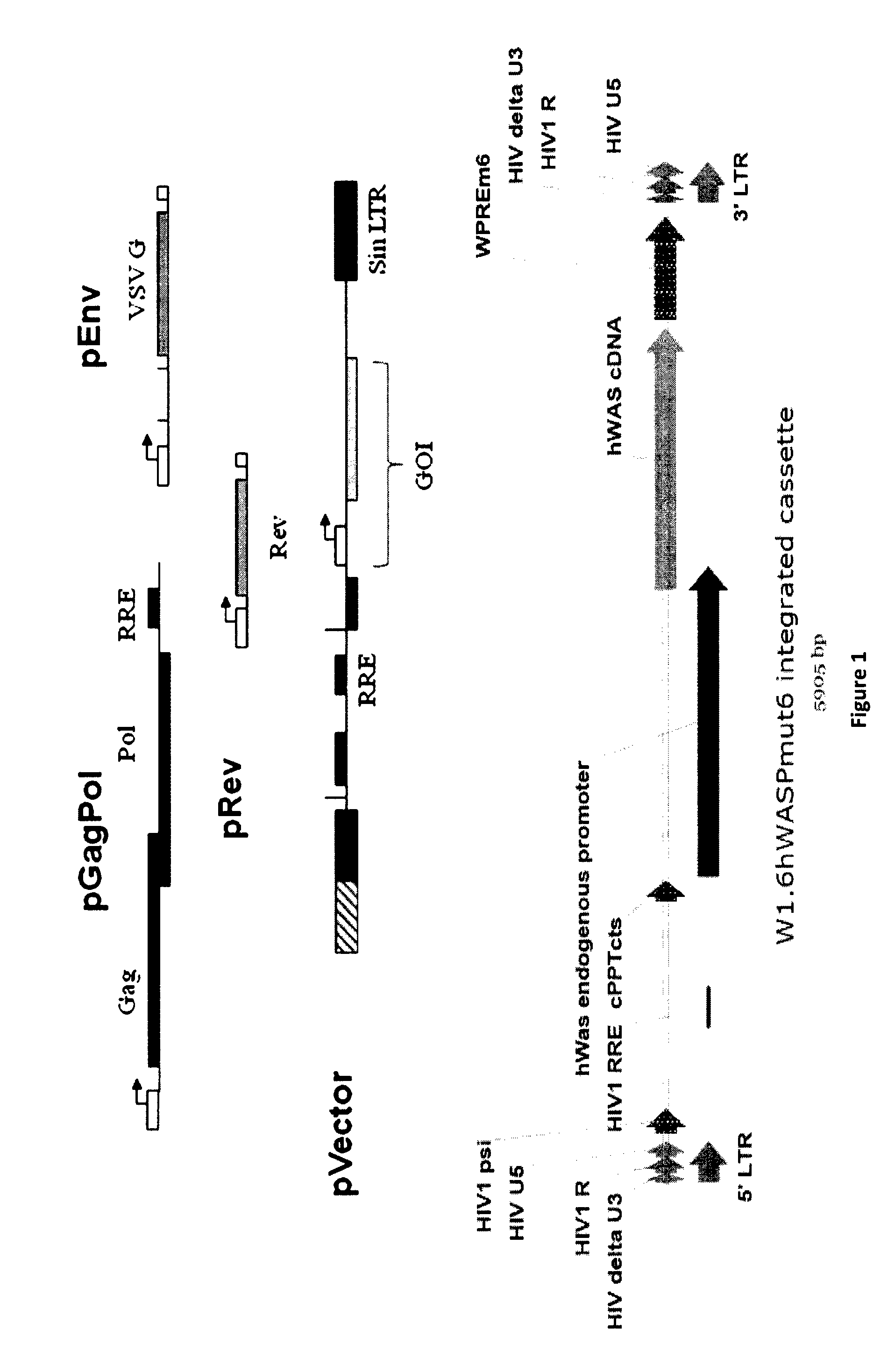 Scalable lentiviral vector production system compatible with industrial pharmaceutical applications