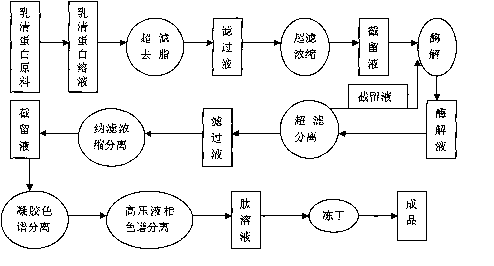 Angiotensin converting enzyme inhibitory peptide and preparation method thereof