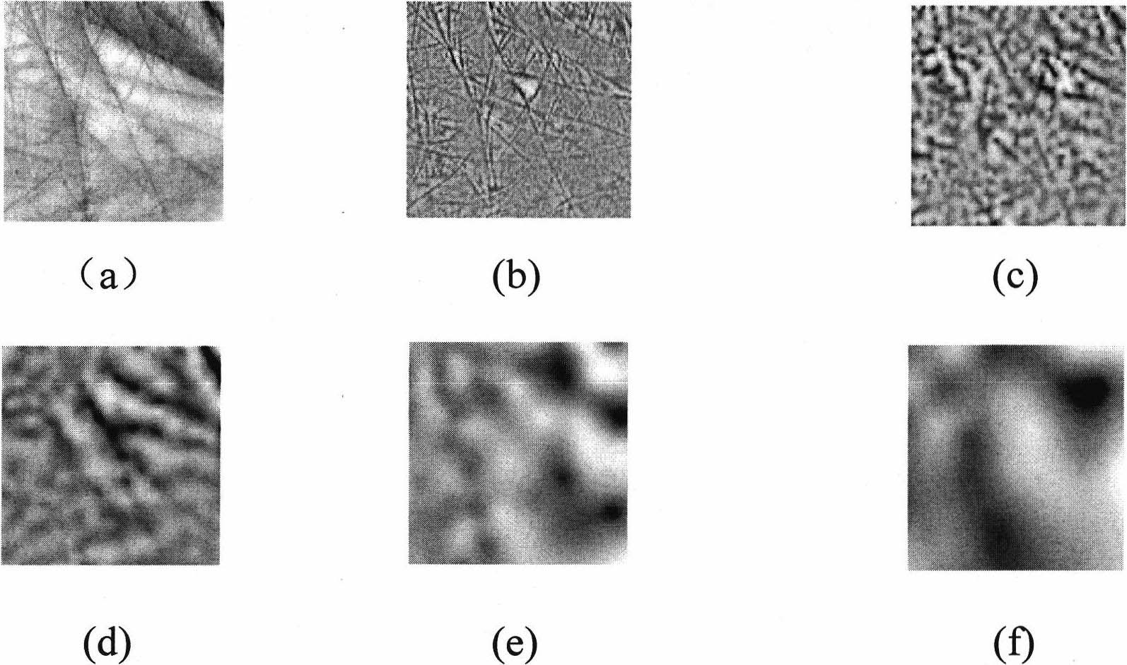 Method for extracting characteristic of natural image based on dispersion-constrained non-negative sparse coding