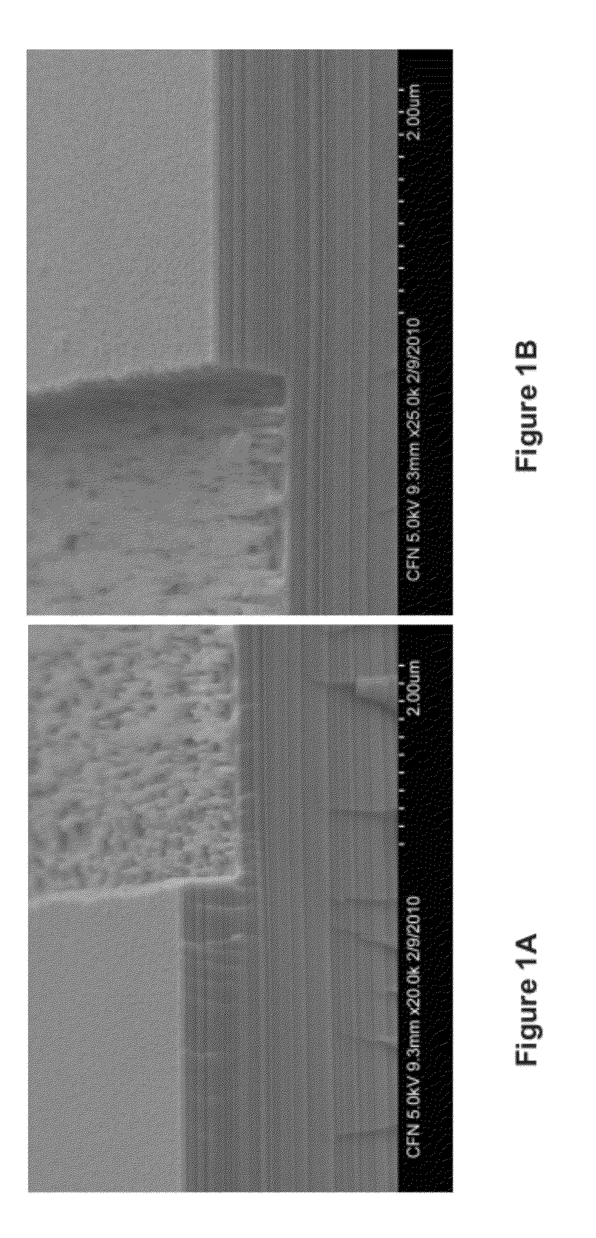 Technique for Etching Monolayer and Multilayer Materials