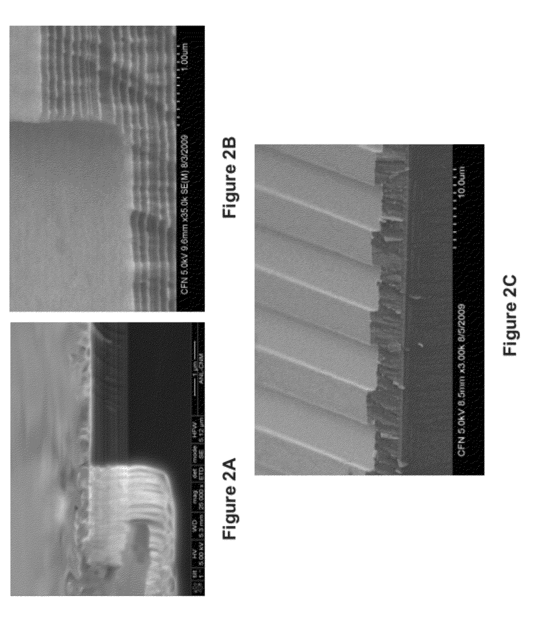 Technique for Etching Monolayer and Multilayer Materials