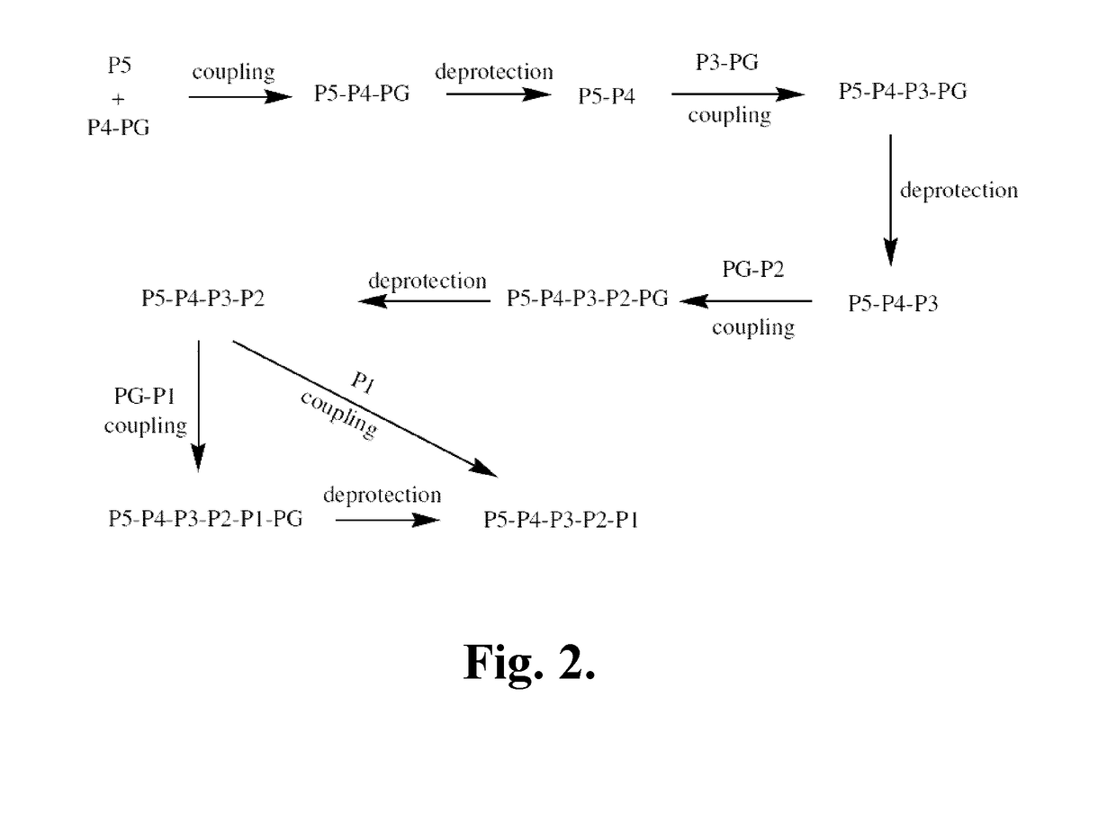 Azaindoline compounds as granzyme b inhibitors