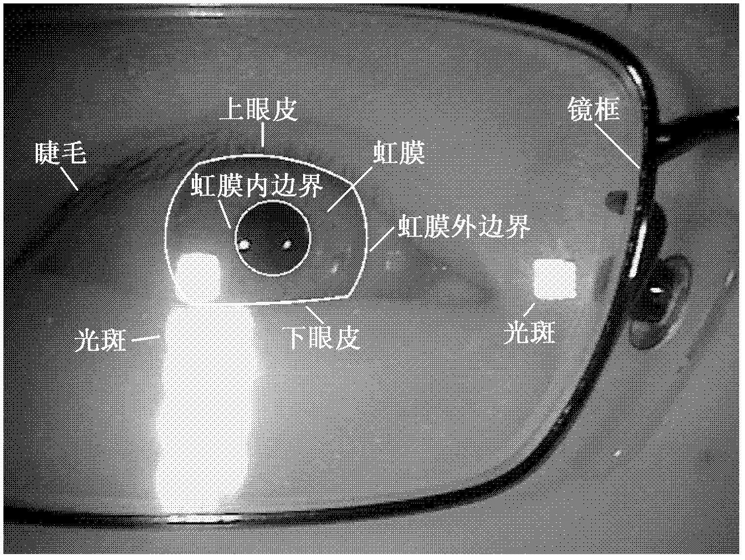 Robust iris region segmentation method based on specific boundary detectors