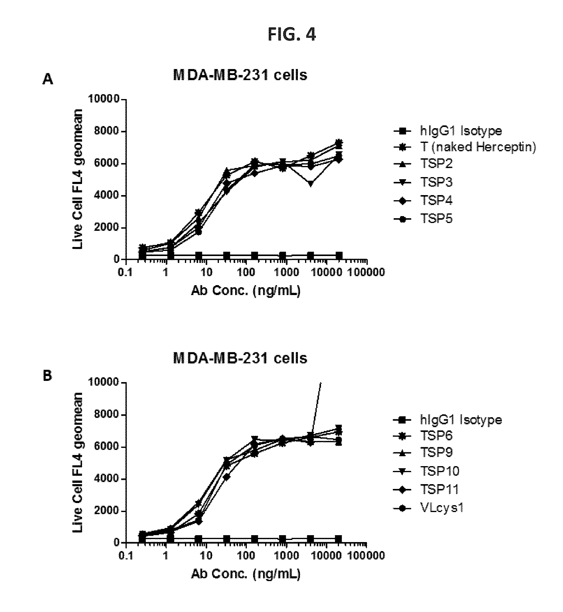 Antibodies comprising c-terminal light chain polypeptide extensions and conjugates and methods of use thereof