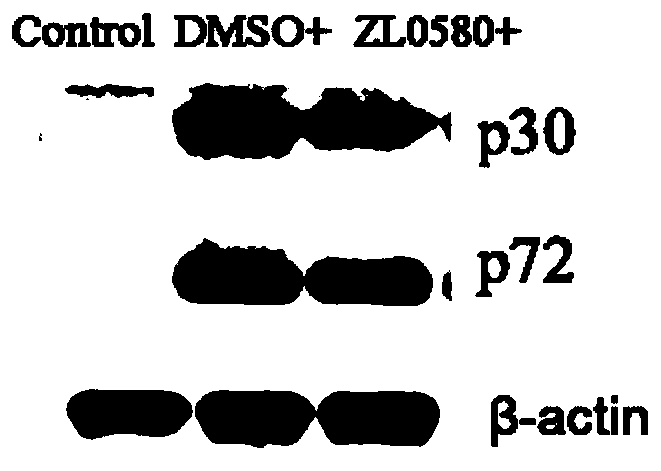 New use of compound ZL0580 for preventing or treating African swine fever