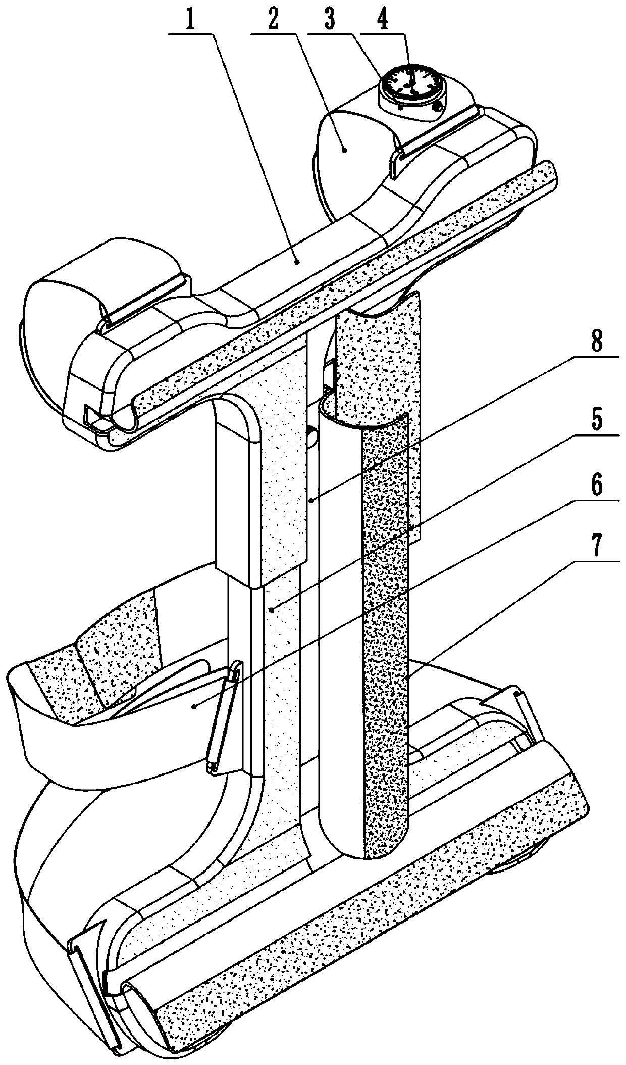 Functional exercise appliance for ankylosing spondylitis