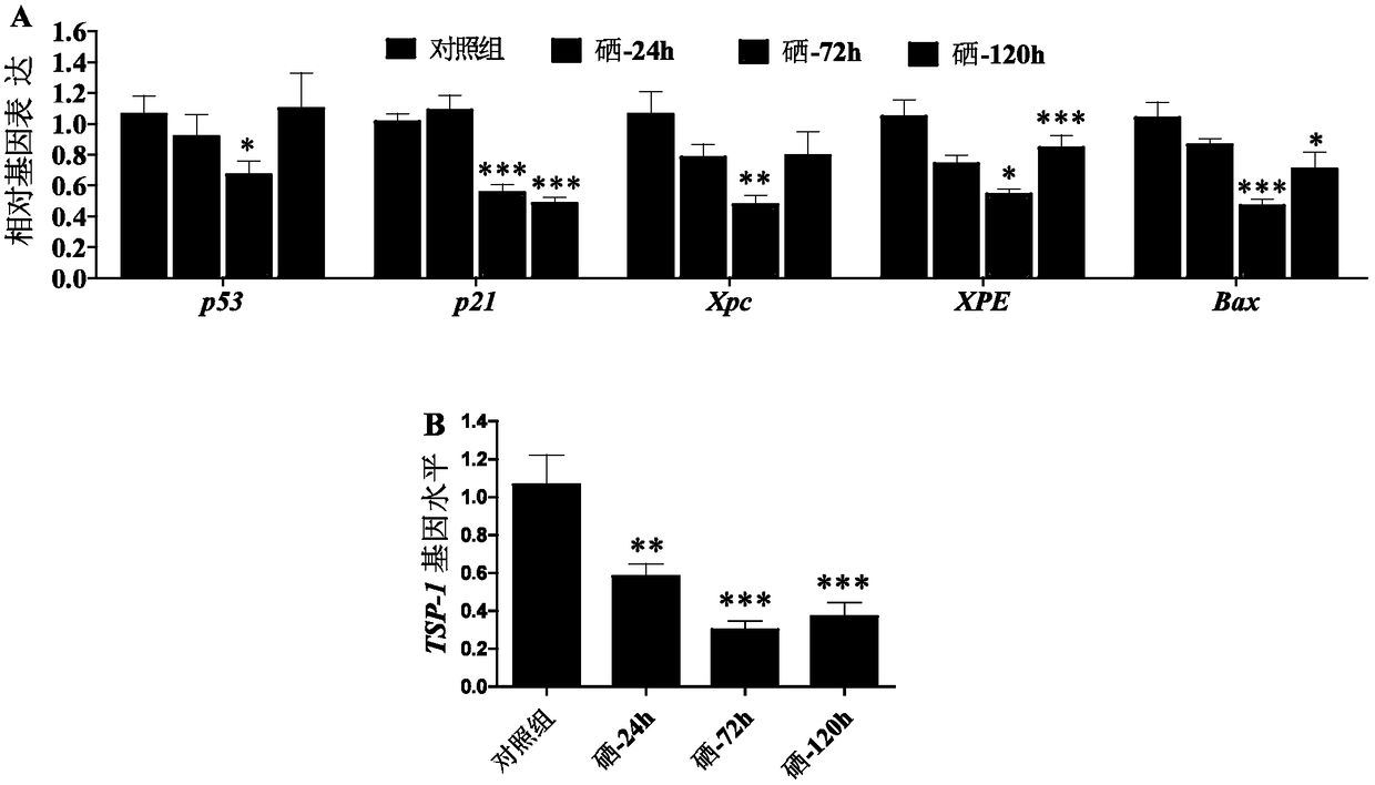 Application of selenium element for preparing drug capable of relieving toxic and side effects caused by chemotherapeutic drug