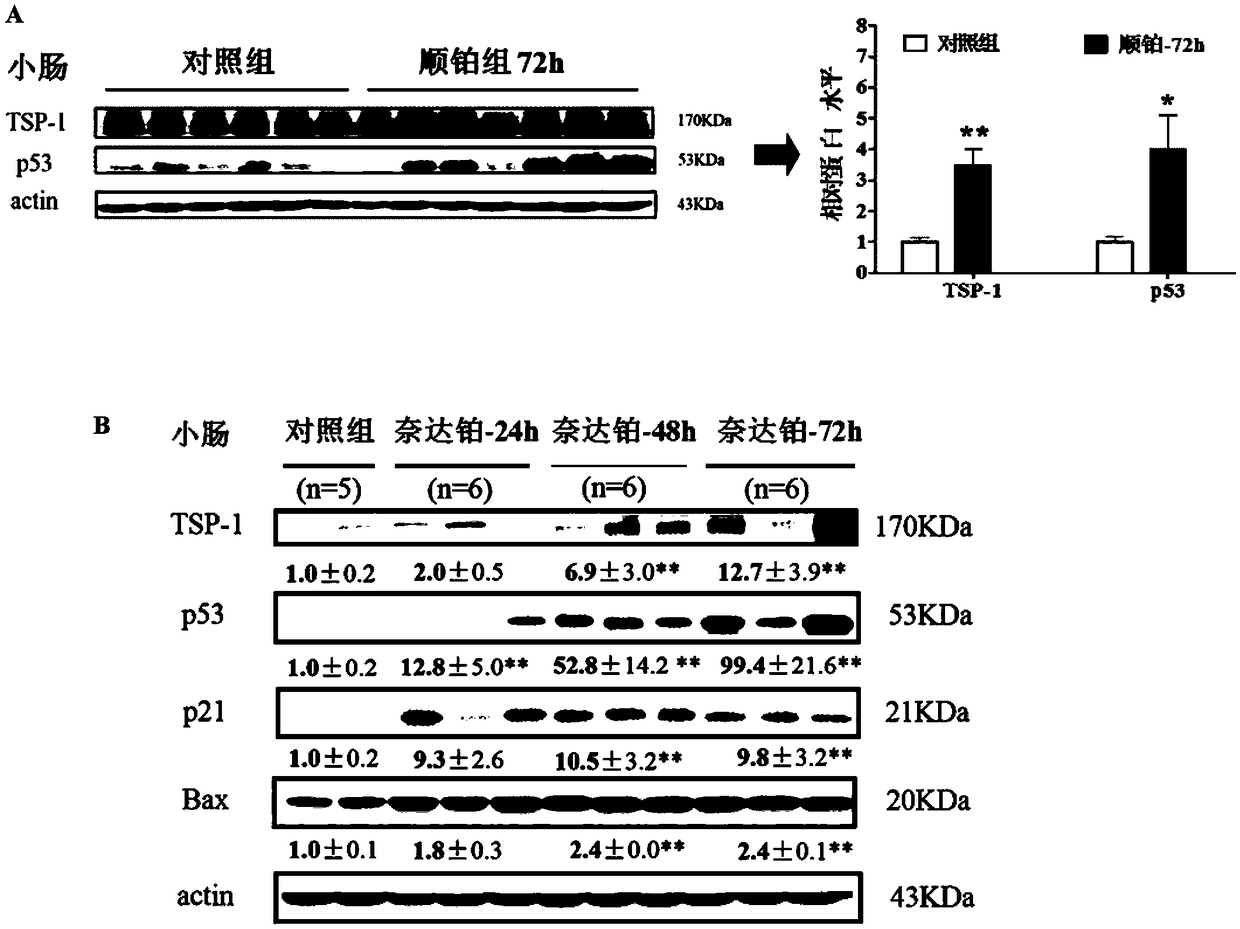 Application of selenium element for preparing drug capable of relieving toxic and side effects caused by chemotherapeutic drug