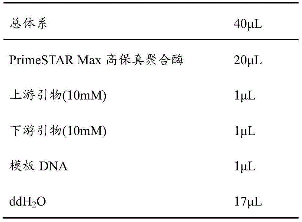 Genetically engineered bacterium used for combined production of succinic acid and isoprene, and construction method thereof