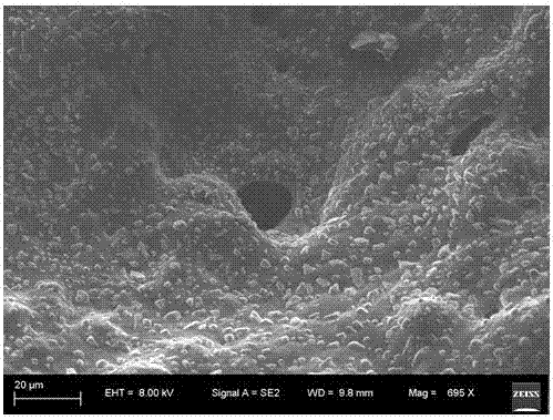 Preparation method of expandable carbon nitride flame retardant epoxy resin