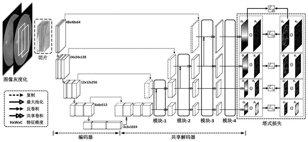 Fundus image blood vessel segmentation method based on shared decoder and residual error tower type structure