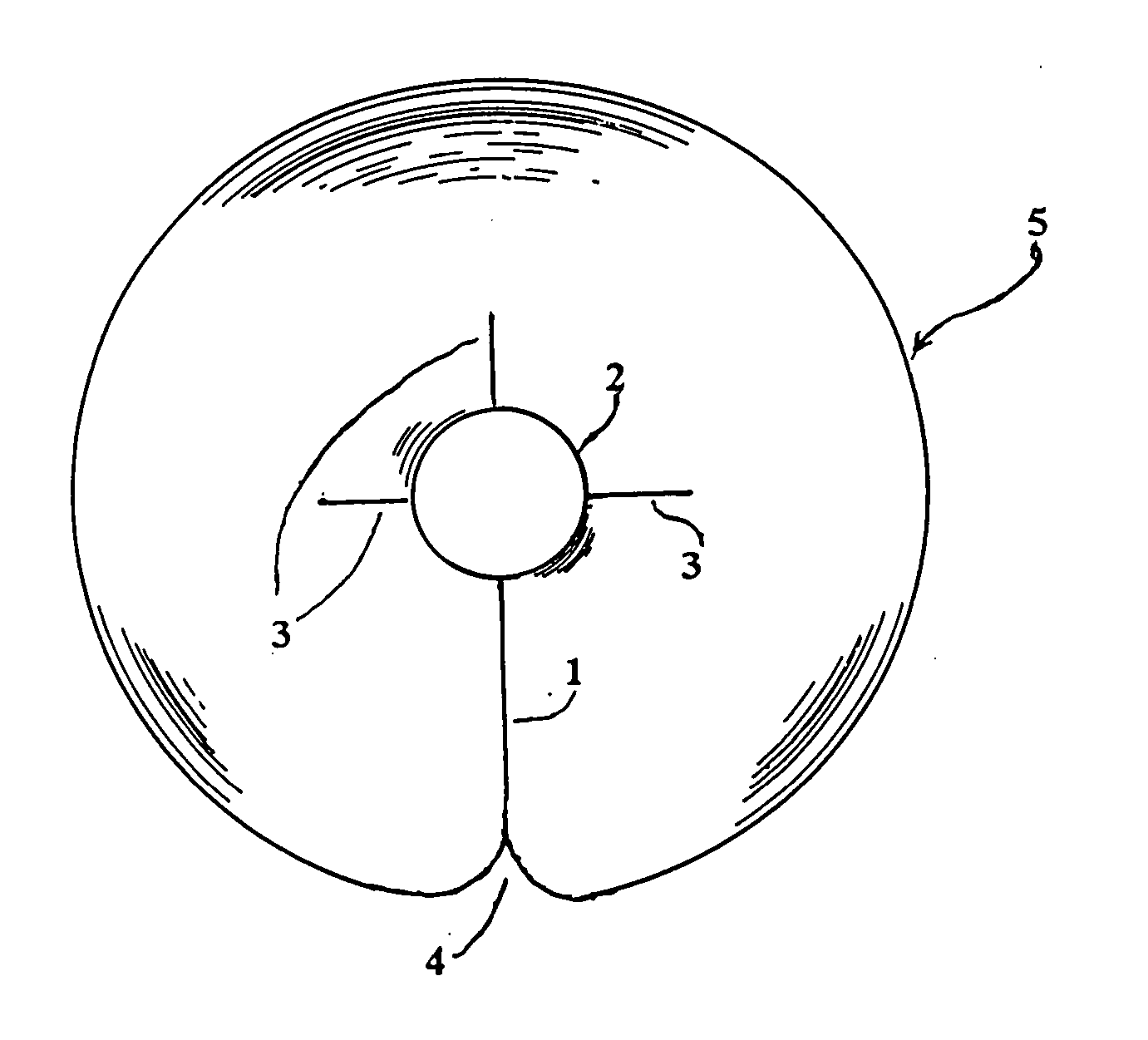 Catheter patch