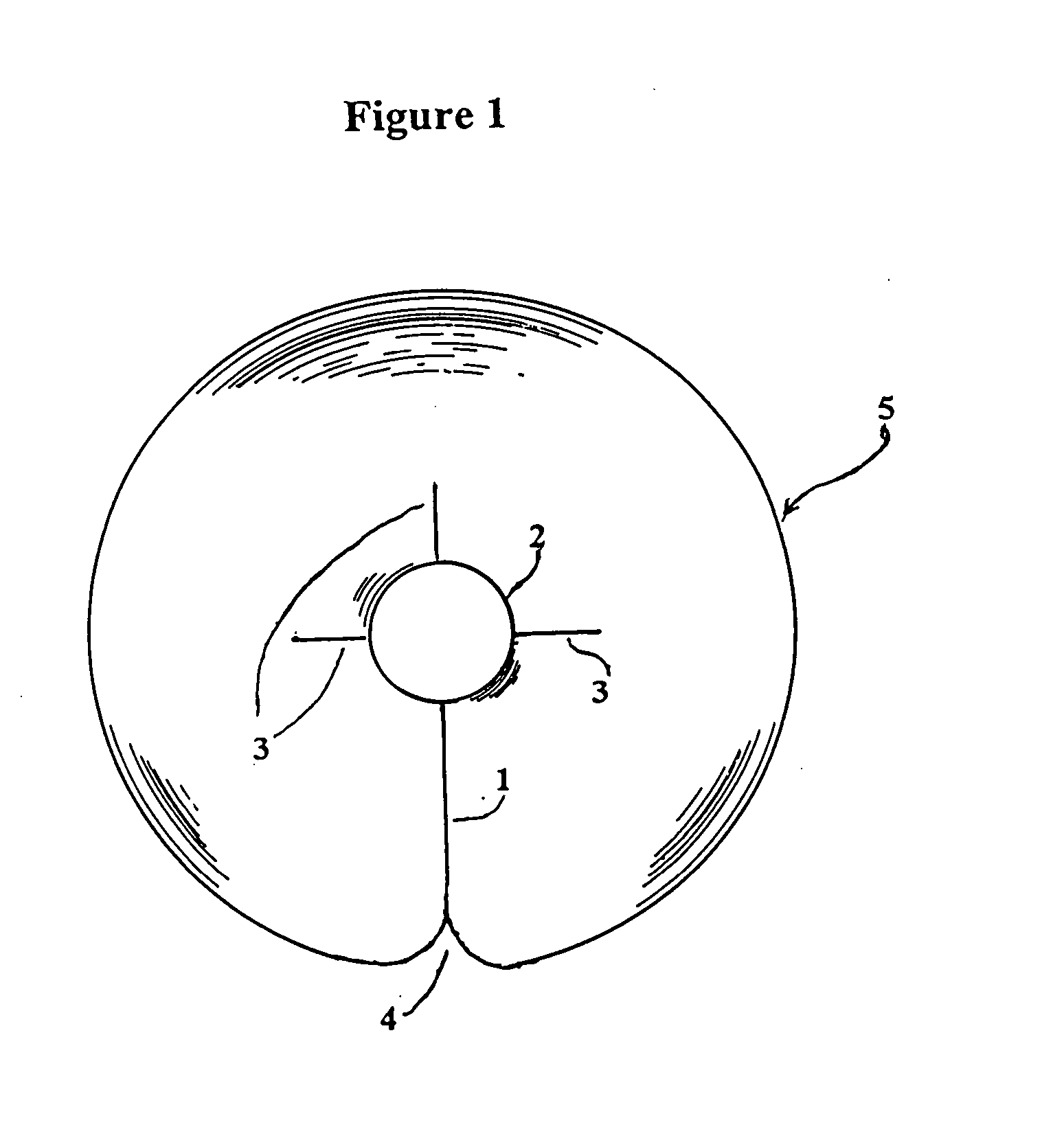 Catheter patch