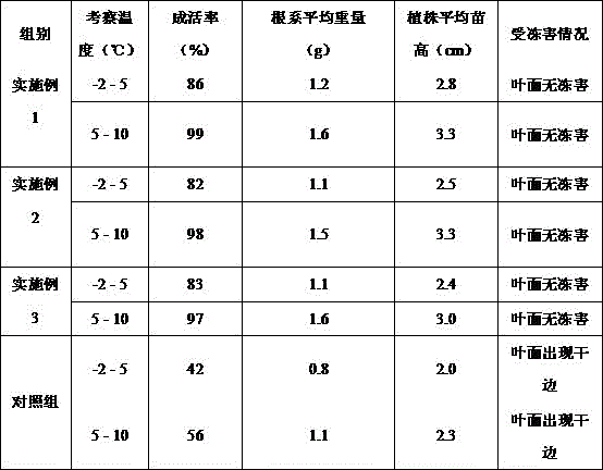 Stevia seedling anti-freezing growth promoting agent