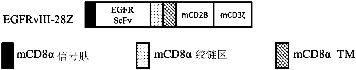 Combination of TOLL-like receptor stimulating agent and immune effector cell