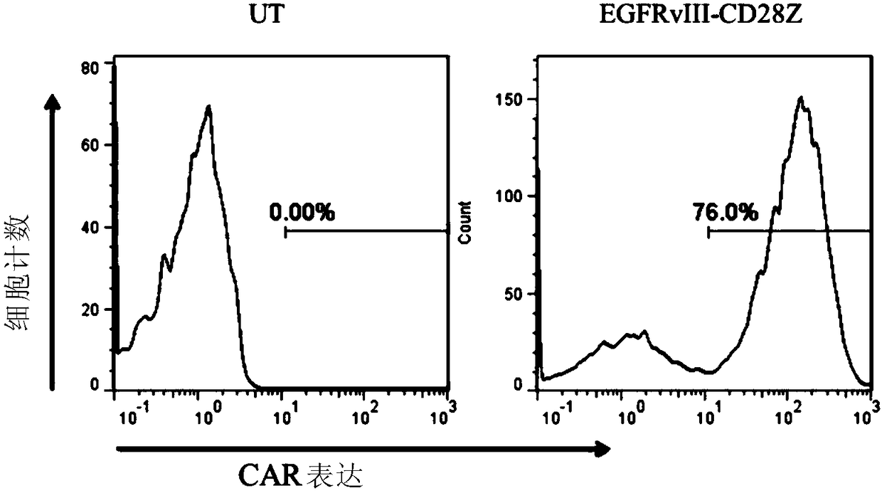 Combination of TOLL-like receptor stimulating agent and immune effector cell