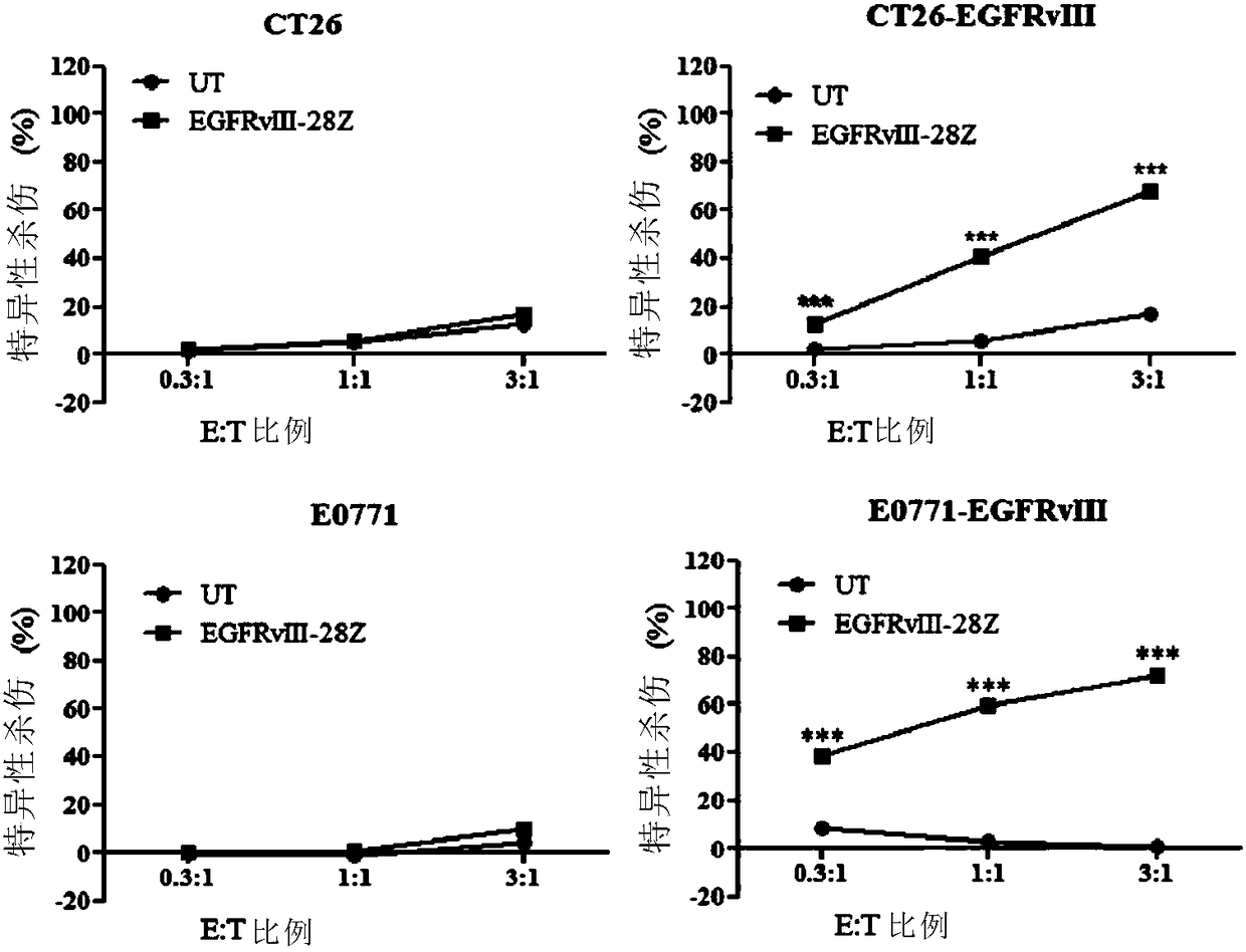 Combination of TOLL-like receptor stimulating agent and immune effector cell