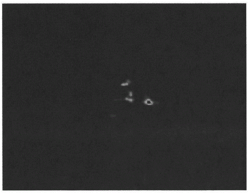 Saliency-map-based Laplacian cooperation compression radar imaging method