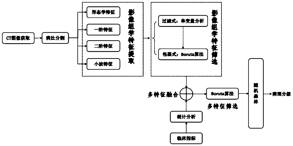 Liver cancer image feature extraction and pathological classification method and device based on imaging omics