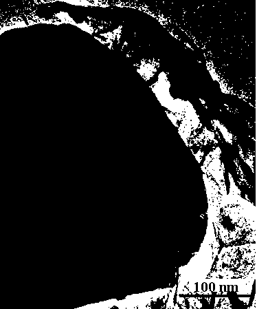 A kind of preparation method of graphene composite lithium ion battery ternary cathode material