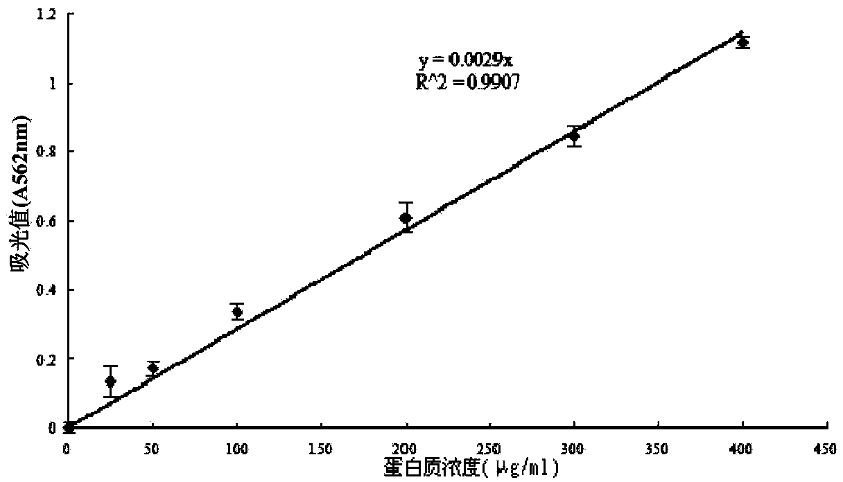 Black fungus protein extract and anti-tumor application thereof