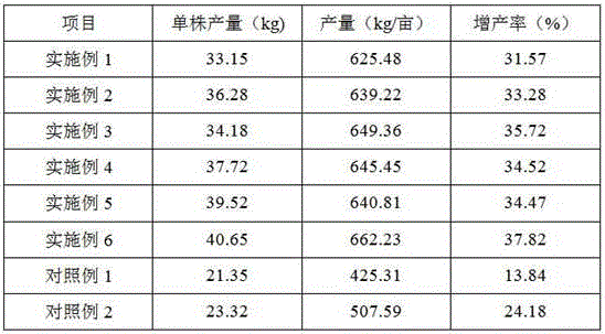 Special fertilizer for promoting yield increase of clausena lansium fruits and preparation method of special fertilizer