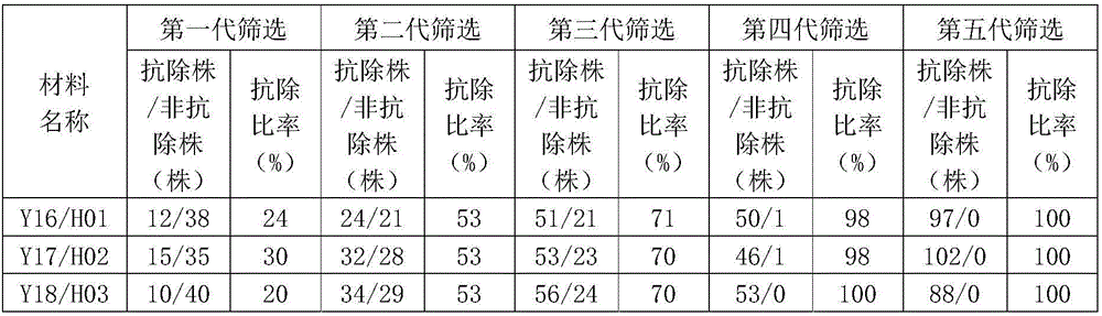 Breeding method of new transgenic herbicide-resistant and high-temperature-resistant cotton strain