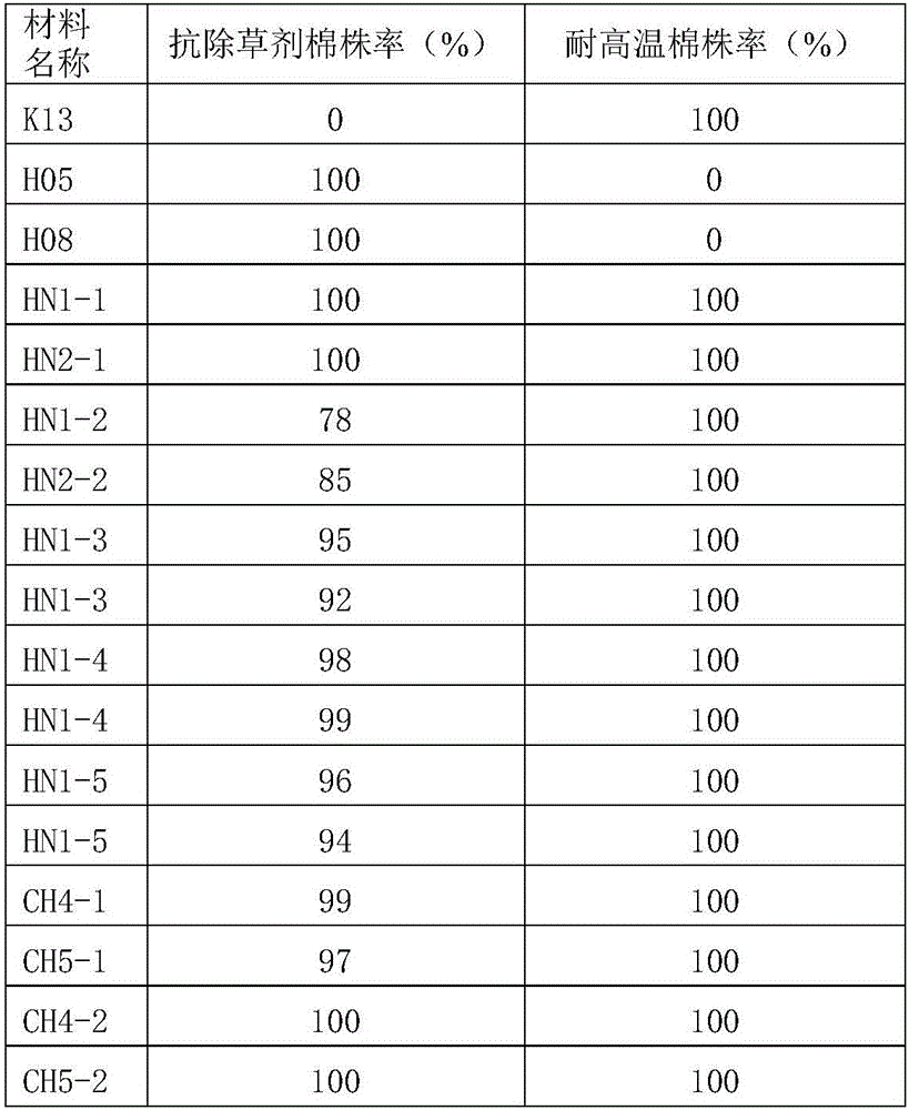 Breeding method of new transgenic herbicide-resistant and high-temperature-resistant cotton strain