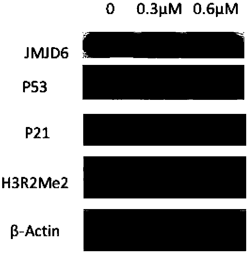 Pyrimidine derivative with anticancer effect