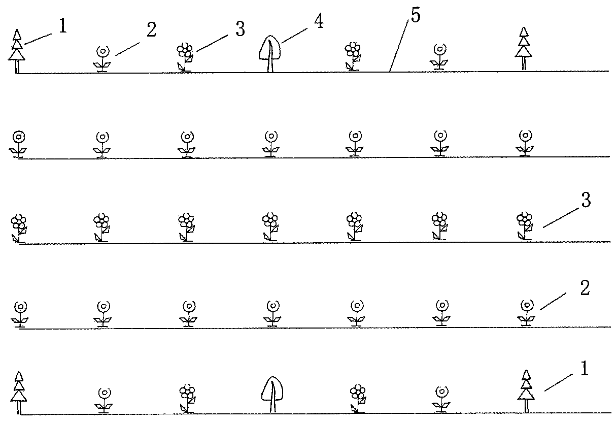 A method for afforestation of secondary salinized land in arid area