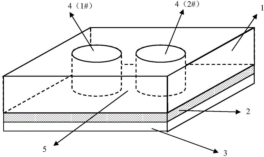 Method for quickly detecting microbial drug resistance and special microfluidic chip