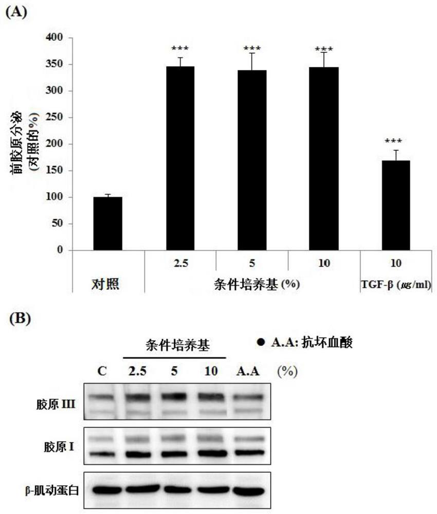 Cosmetic composition and pharmaceutical composition for alleviating atopic dermatitis, hair loss, and wounds or reducing skin wrinkles