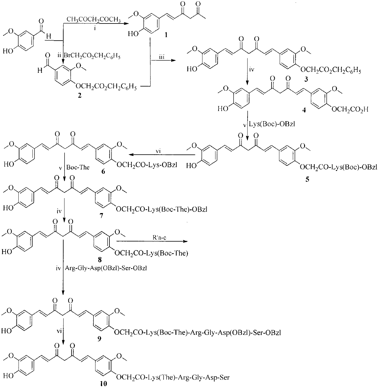 Curcumin modified by rgds, its preparation, biological activity and application