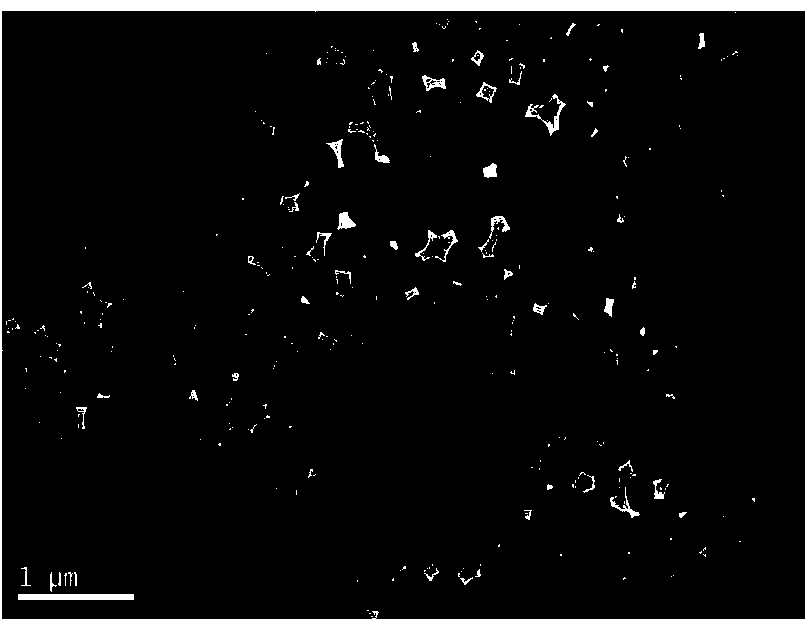 Polymer nano-silica temperature-resistant, salt-tolerant and fluid loss reducing agent and preparation method thereof