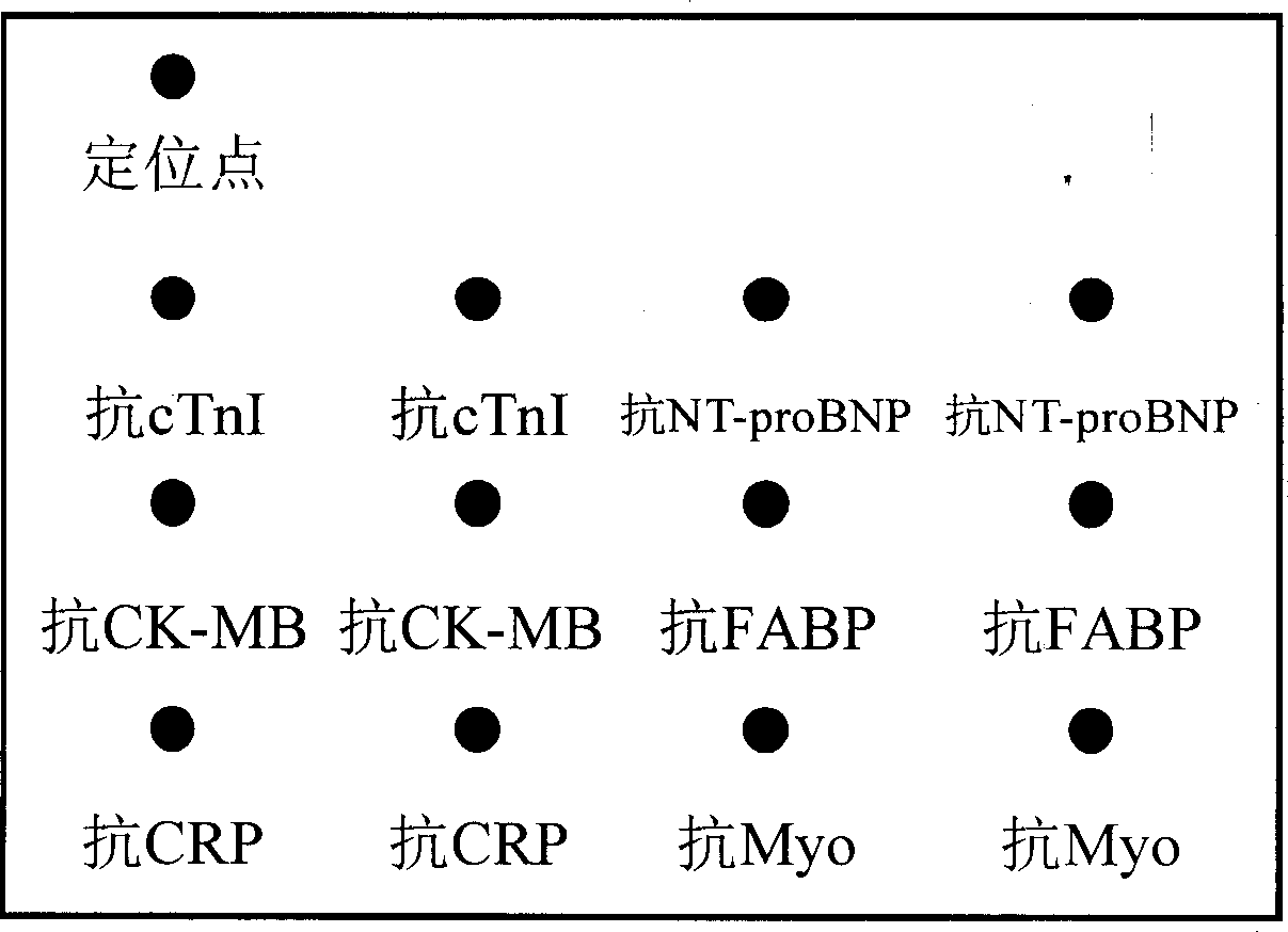 Multi-index protein chip inspection reagent unit of cardiovascular disease diagnosis and prediction