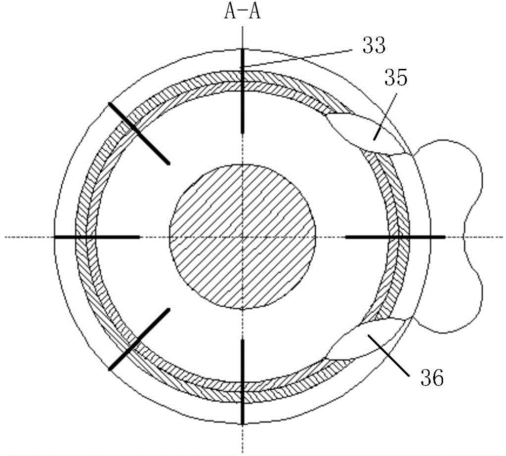 Multi-degree-of-freedom bionic joint