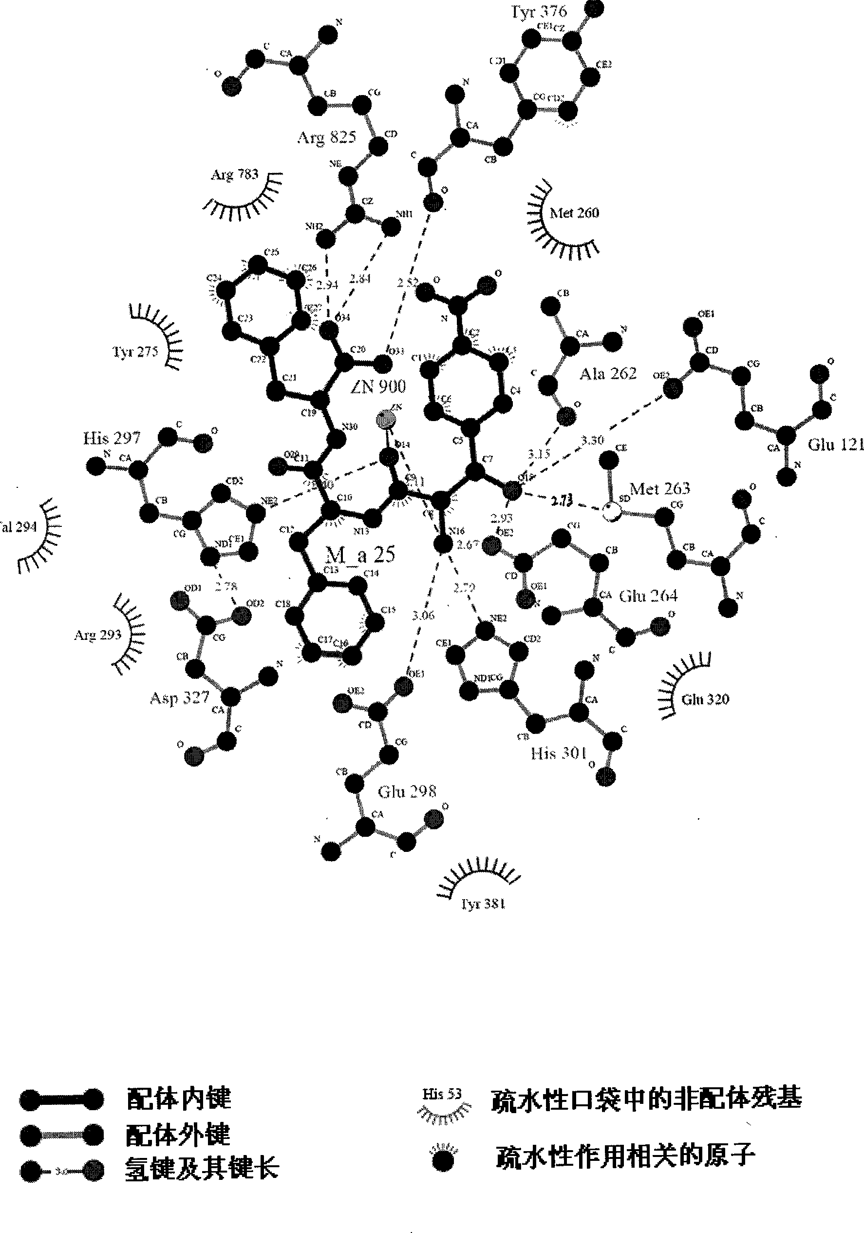 2-amino-1-(4-nitro phenyl)-1-ethanol metalloid protease inhibitor, and preparation and use thereof