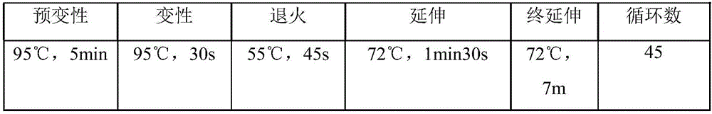 Method of using genes for species identification of plants