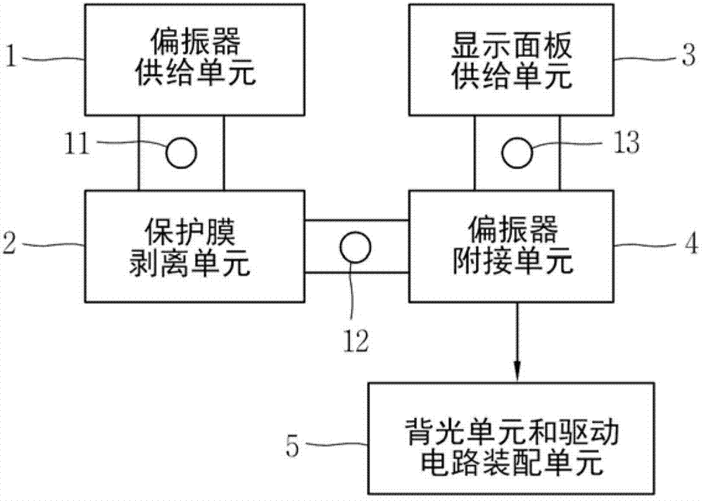 Apparatus and method for peeling protective film and method for fabricating stereoscopic image display device