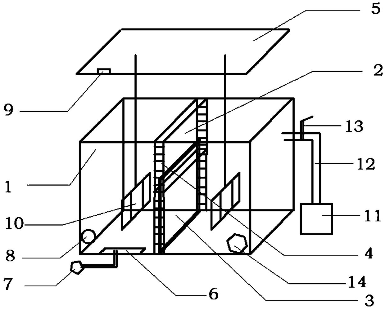 Preparation method of Plukenetia volubilis Linneo toner