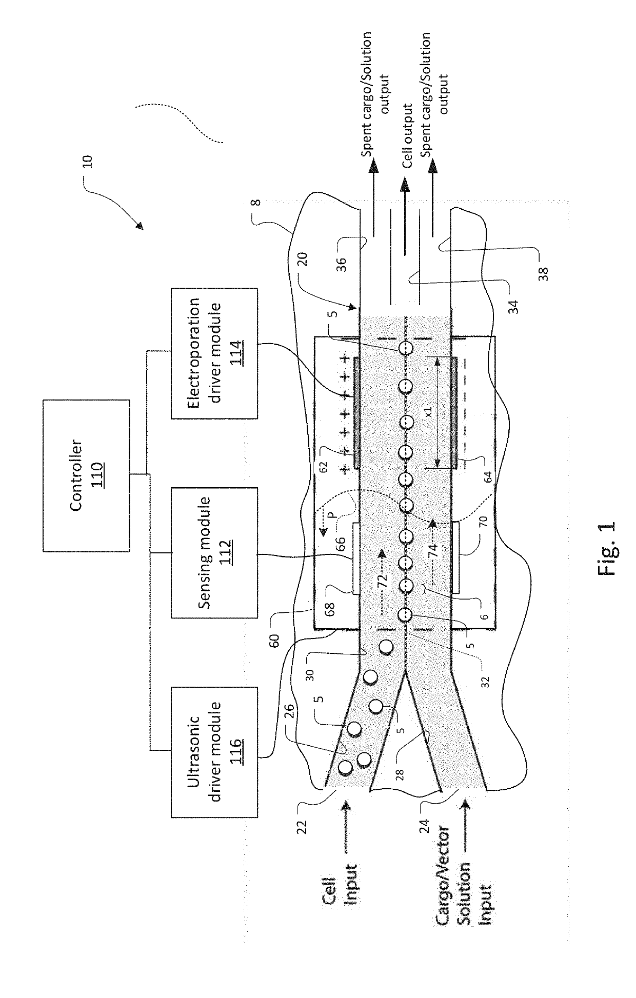 Method and Apparatus for Electroporation of Acoustically-Aligned Cells