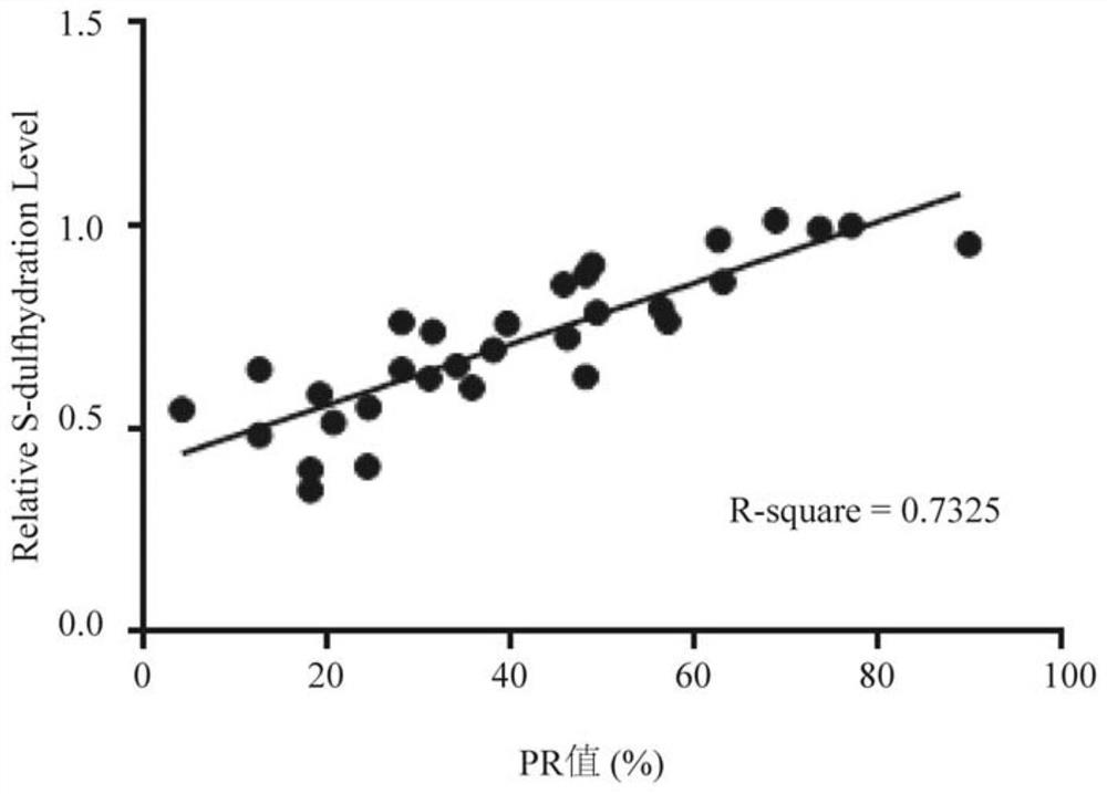 Marker protein related to asthenospermia and application of marker protein