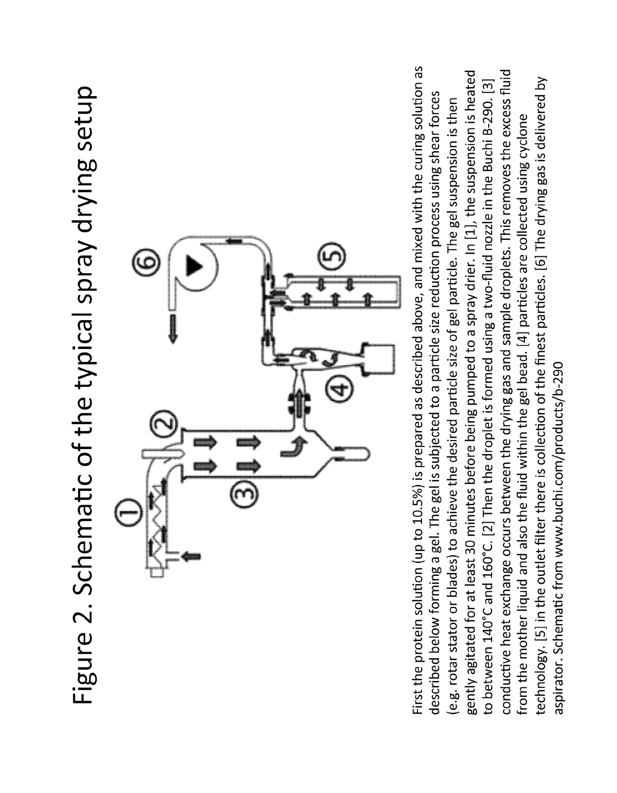 Compositions and methods for increasing iron intake in a mammal