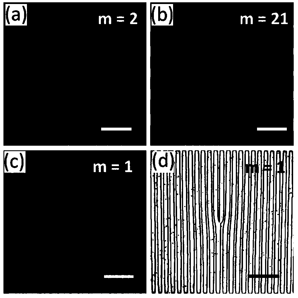 Forked liquid crystal grating preparation method and application of forked liquid crystal grating in vortex beam