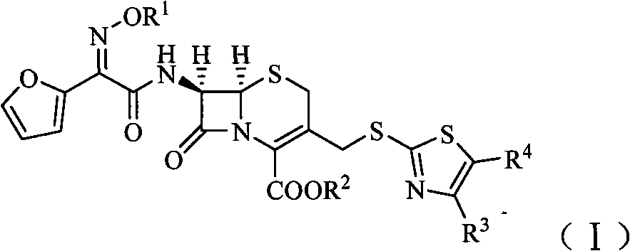 Cephalosporin derivatives